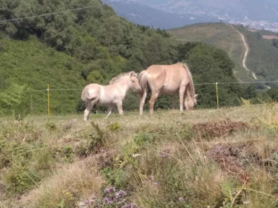 Gite La Grangette De Pauline Mercus-Garrabet Exteriér fotografie
