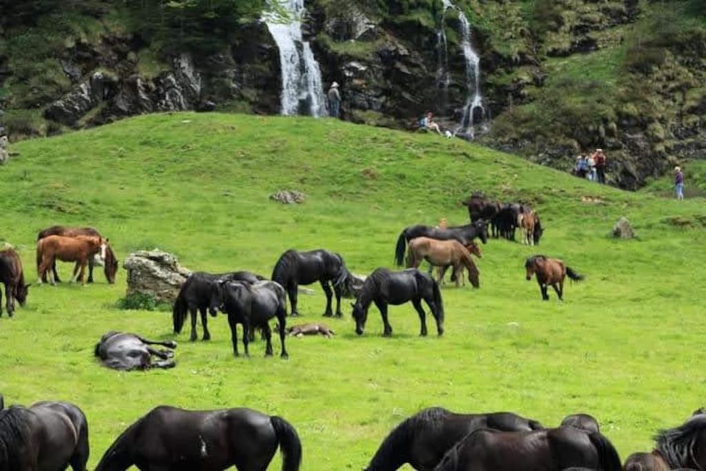 Gite La Grangette De Pauline Mercus-Garrabet Exteriér fotografie