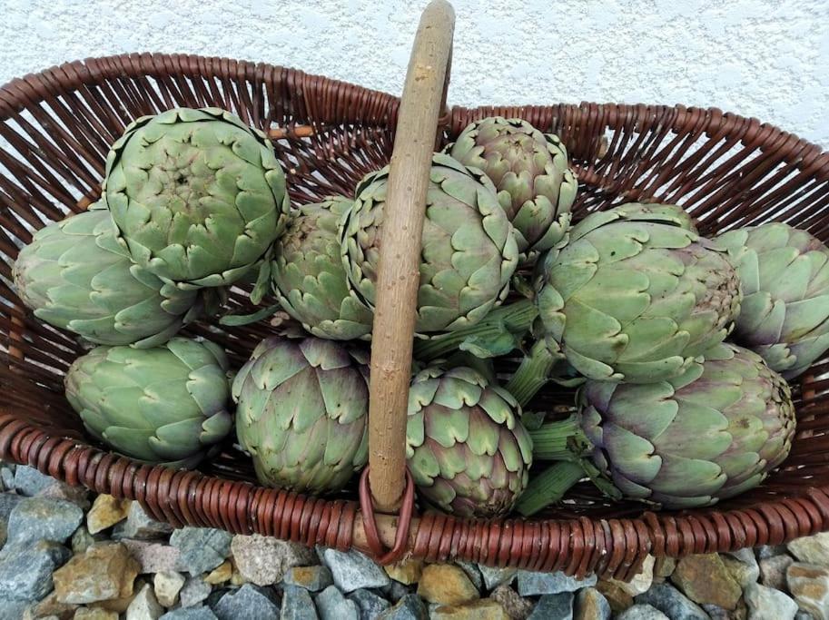 Gite La Grangette De Pauline Mercus-Garrabet Exteriér fotografie