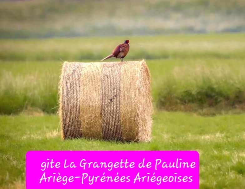 Gite La Grangette De Pauline Mercus-Garrabet Exteriér fotografie
